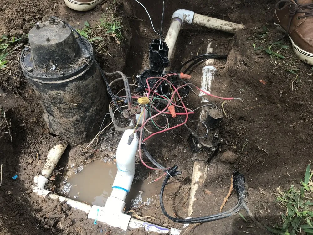 Affordable landscape design in Katy, TX - Grade A Grass Lawn Care