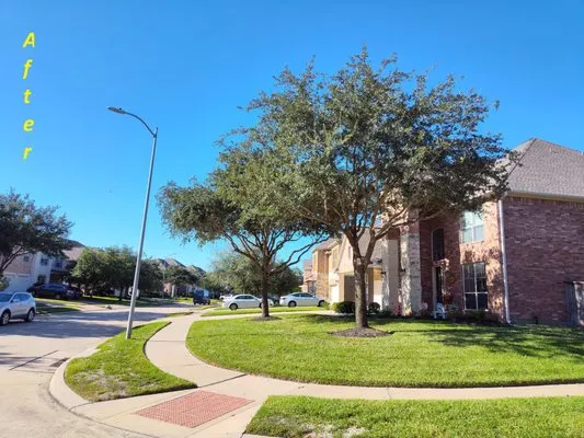 Grade A Grass Lawn Care Logo