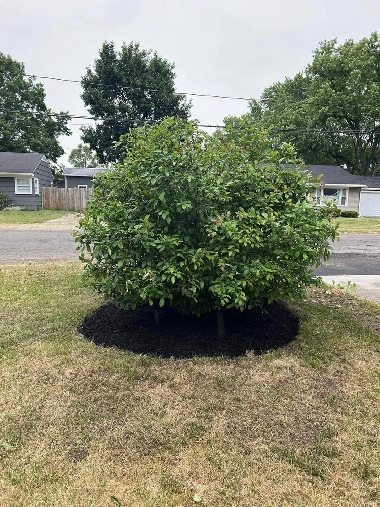 Affordable outdoor landscaping in Jackson, MI - Grade A Homes