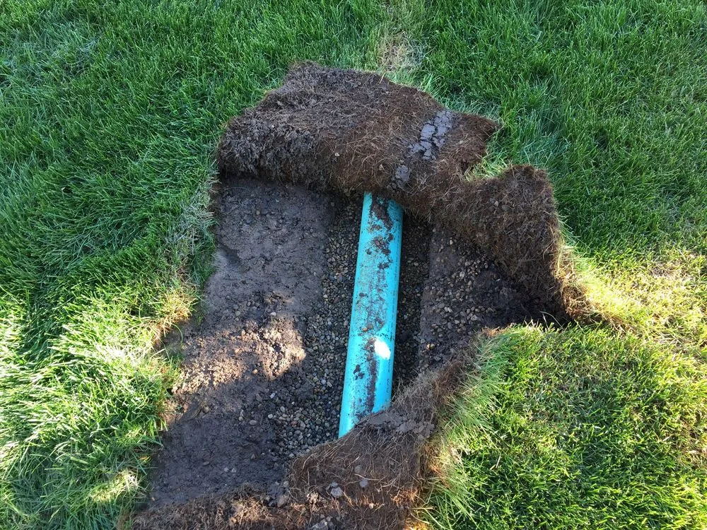 Expert lawn care service with custom design across Warren, MI - Grade A Landscape