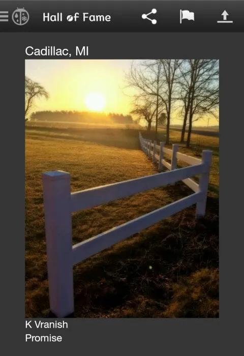 Custom landscape installation experts serving Warren, MI - Grade A Landscape