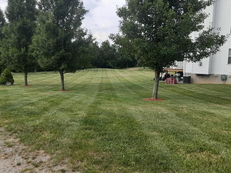 Local lawn care service experts serving Wantage, NJ - Grade A Lawn Care