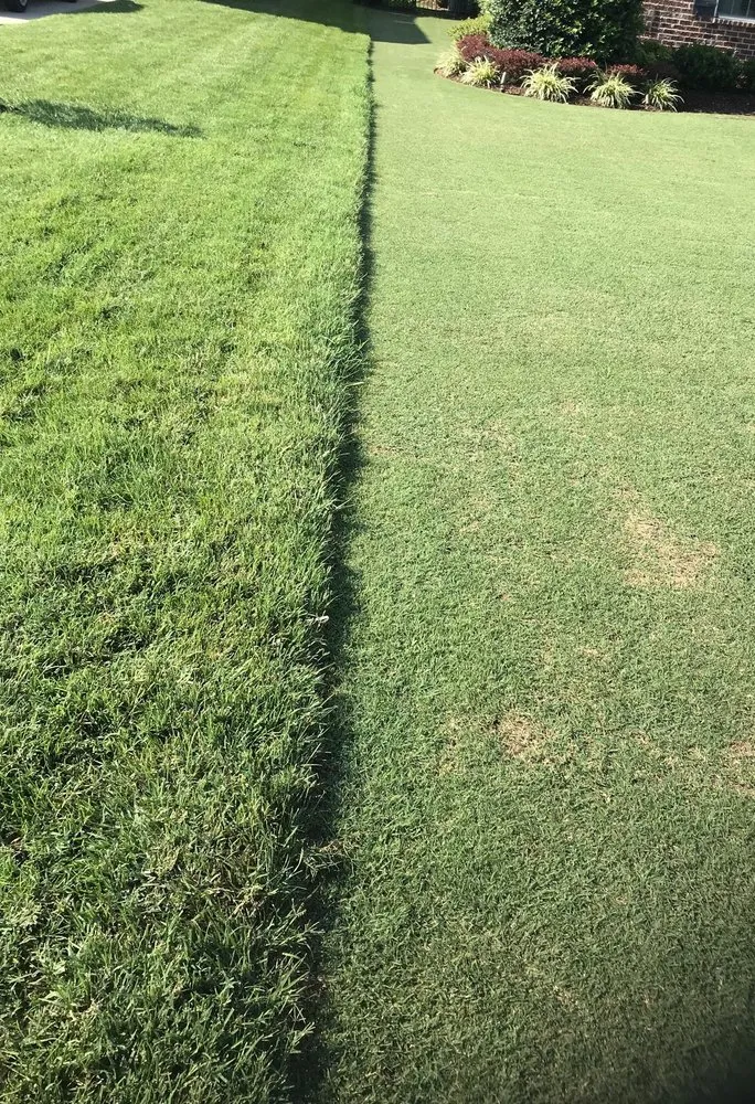 Reliable landscape design experts serving Warner Robins, GA - Grade A Lawn Care