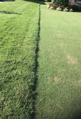 Grade A Lawn Care Logo