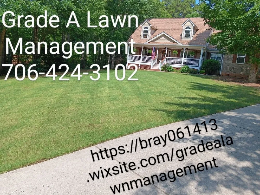 Local yard cleanup service experts serving Danielsville, GA - Grade A Lawn Management