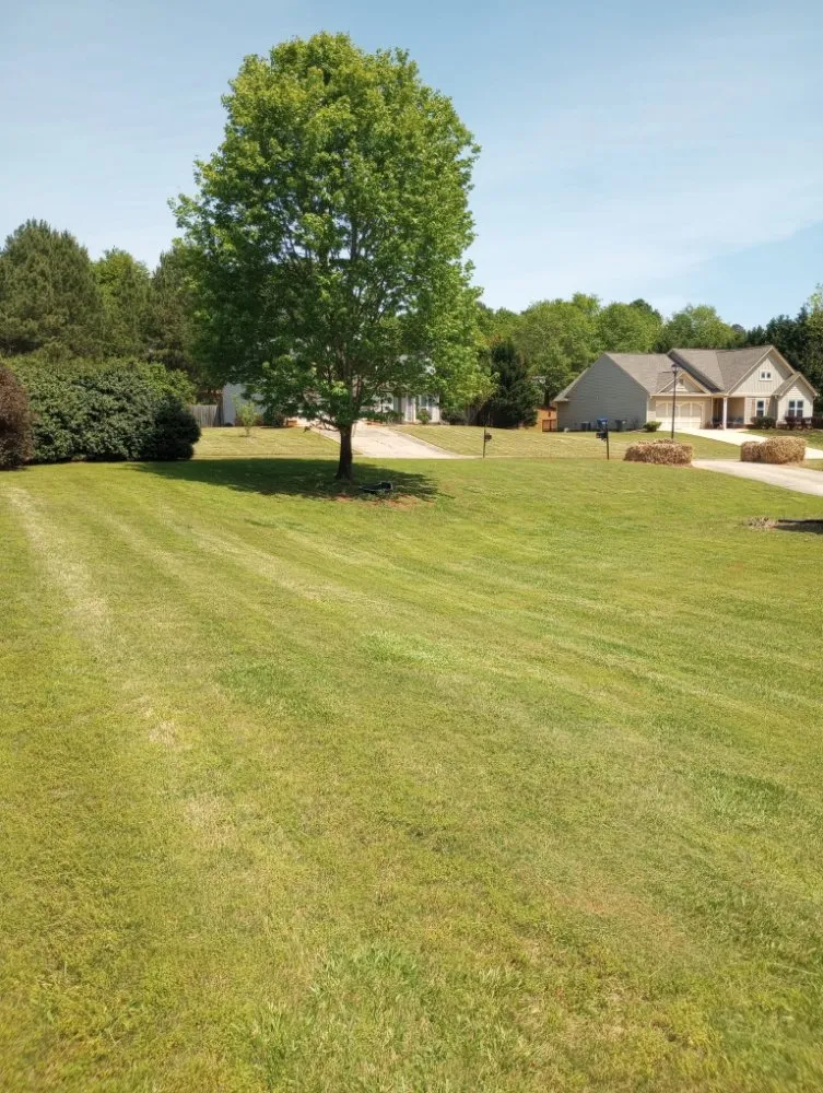 Affordable landscape installation for residential properties across Danielsville, GA - Grade A Lawn Management
