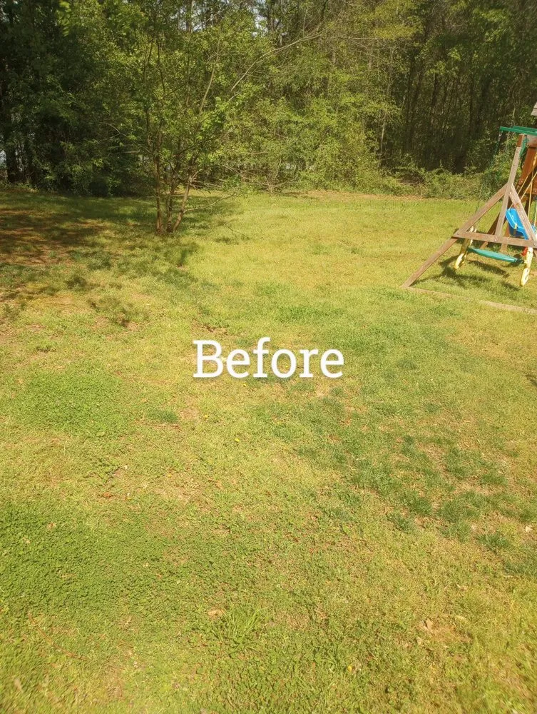 Professional landscape design experts serving Danielsville, GA - Grade A Lawn Management