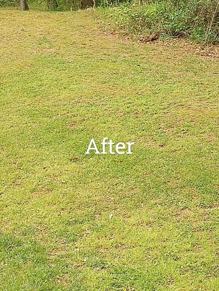 Reliable landscape installation in Danielsville, GA by Grade A Lawn Management