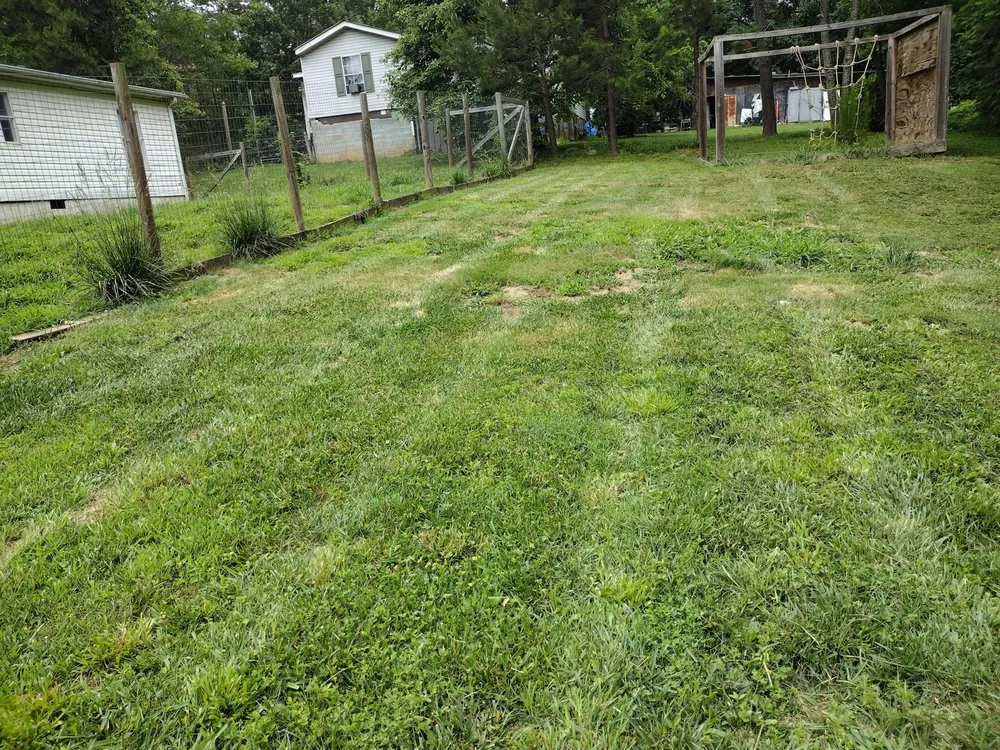 Top-rated residential landscaping in Asheboro, NC by Grade A Yard Management