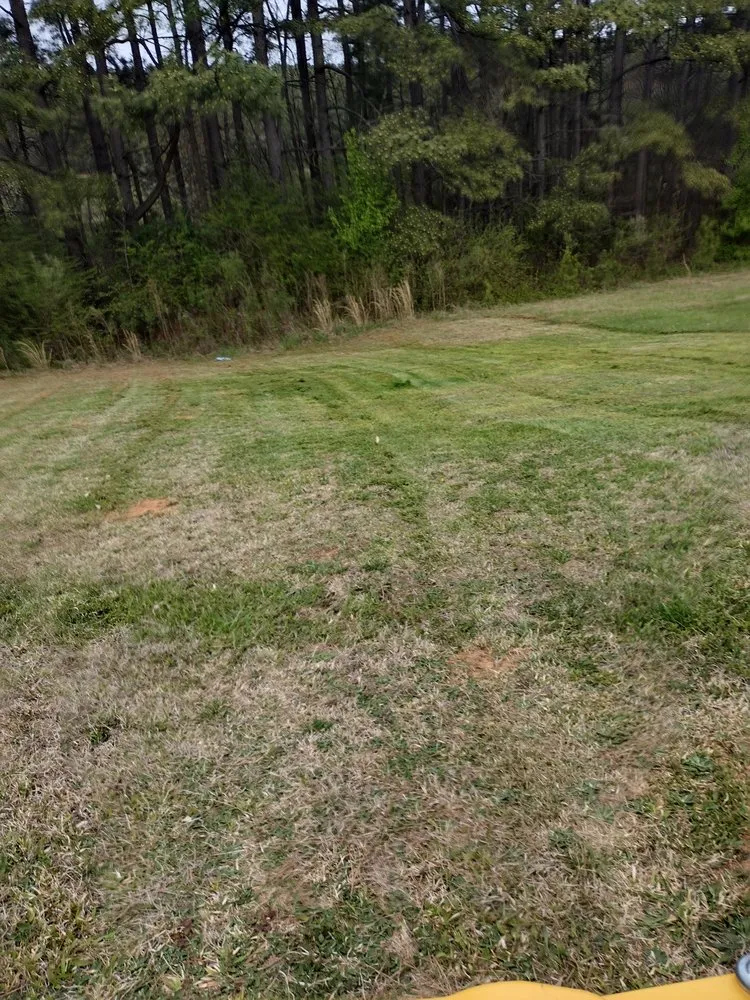 Affordable landscape installation for homes in Asheboro, NC by Grade A Yard Management