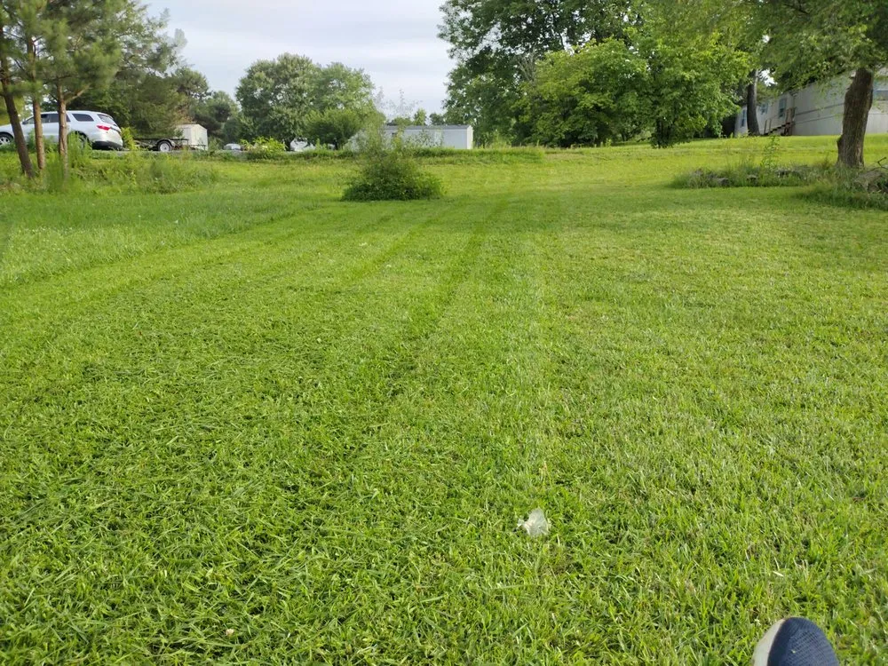 Trusted yard cleanup service for beautiful yards across Asheboro, NC - Grade A Yard Management