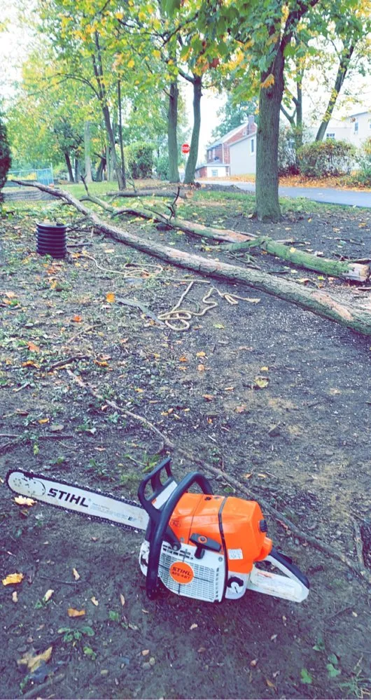 Affordable yard cleanup service in Harrisburg, PA by Graehling's Lawn and Landscape