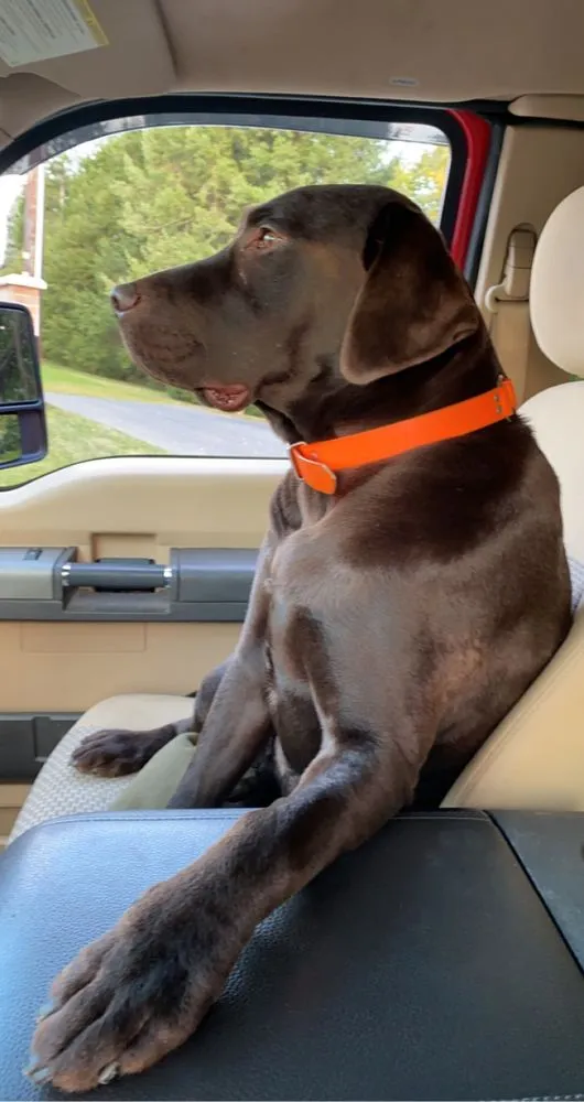 Expert garden landscaping in Harrisburg, PA - Graehling's Lawn and Landscape