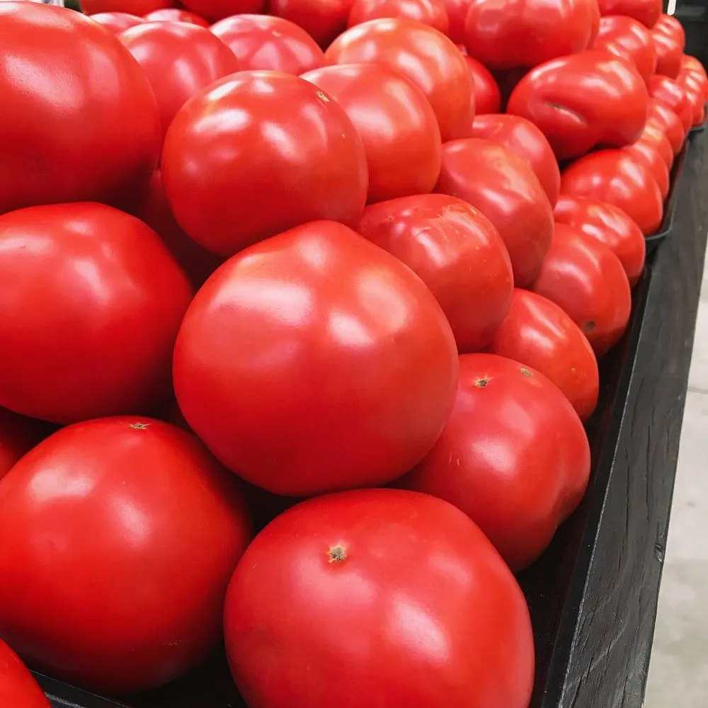 Local residential landscaping experts serving Akron, OH - Graf's Garden Shop, Landscape & Farm Market