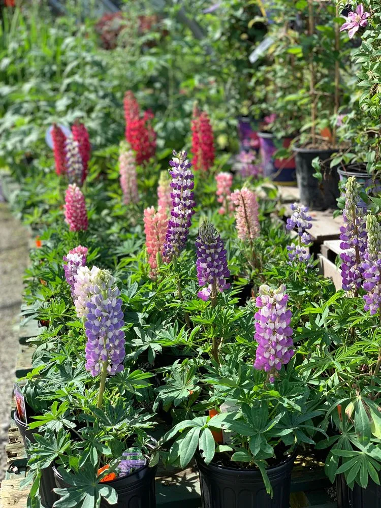 Affordable outdoor landscaping for residential properties across Akron, OH - Graf's Garden Shop, Landscape & Farm Market