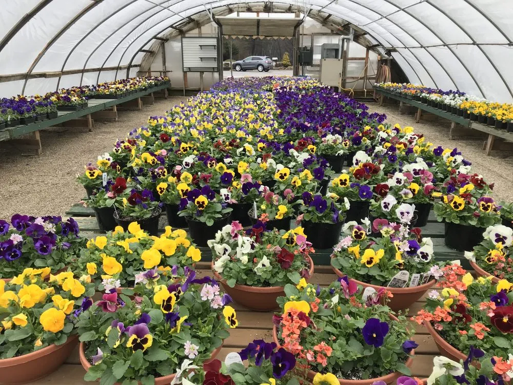 Top-rated garden landscaping in Akron, OH by Graf's Garden Shop, Landscape & Farm Market