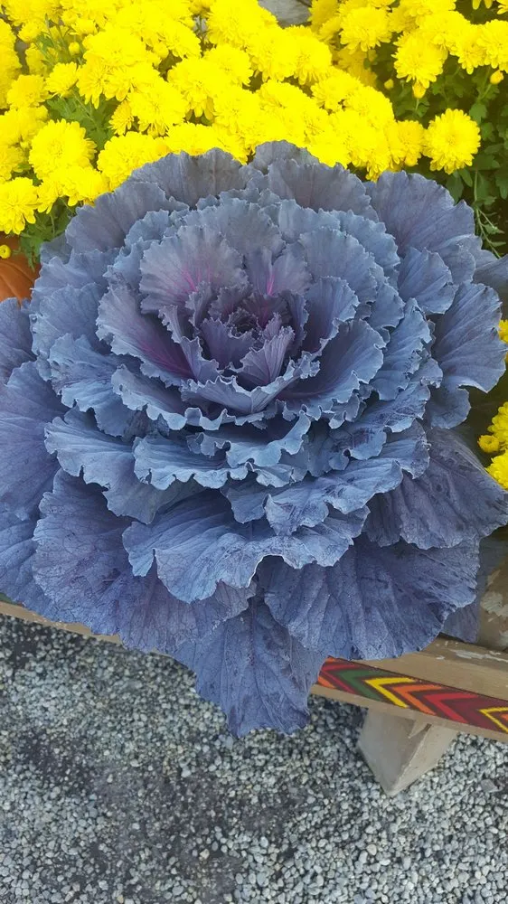 Reliable landscape installation for beautiful yards in Akron, OH by Graf's Garden Shop, Landscape & Farm Market