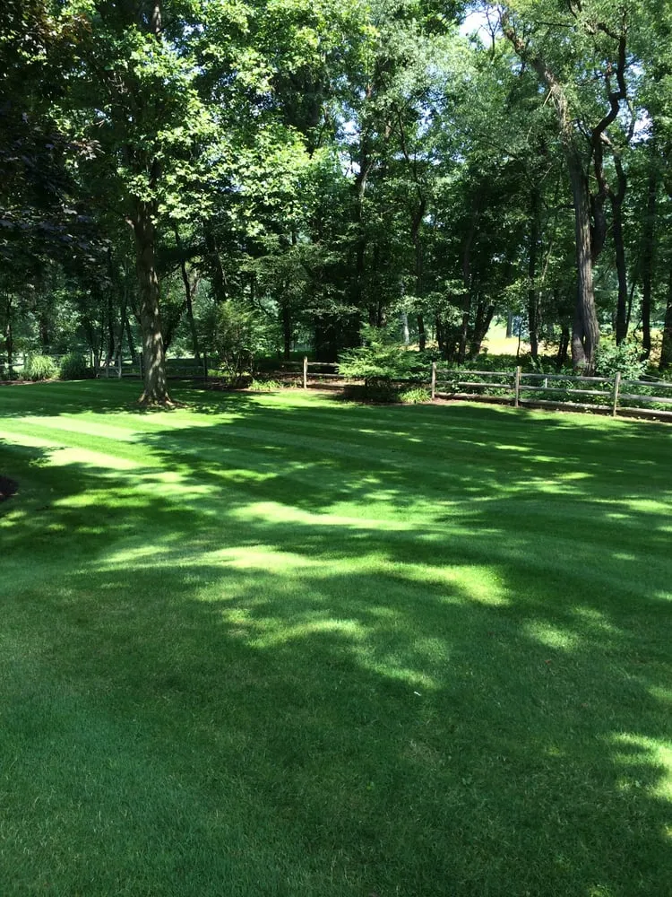 Reliable yard maintenance in Sewickley, PA - Grago Lawn Care
