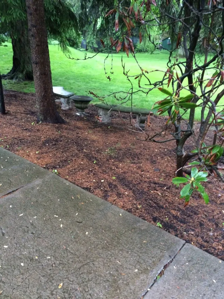 Top-rated lawn care service in Sewickley, PA by Grago Lawn Care