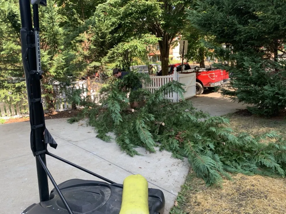 Professional yard maintenance near you across Sewickley, PA - Grago Lawn Care