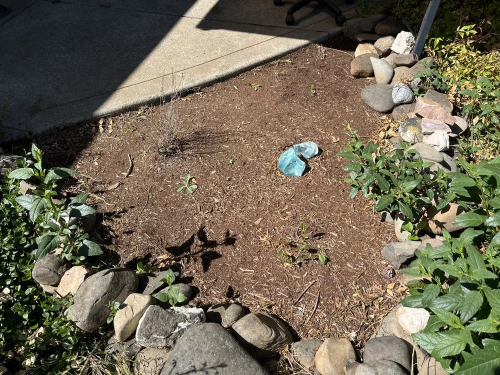 Top-rated landscaping services experts serving Eugene, OR - Graham Landscape and Design