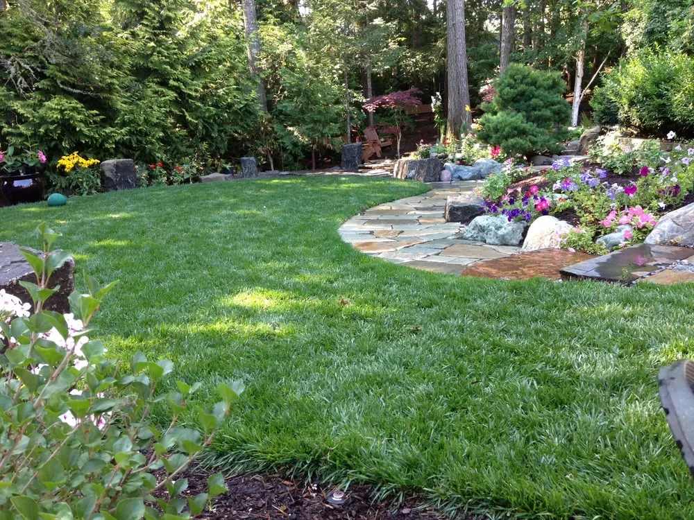 Affordable lawn care service in Eugene, OR - Graham Landscape and Design