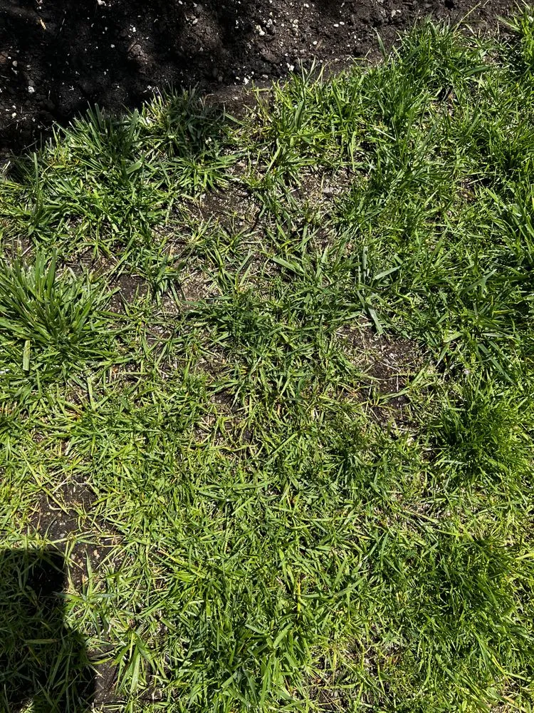 Trusted outdoor landscaping with custom design in Eugene, OR by Graham Landscape and Design