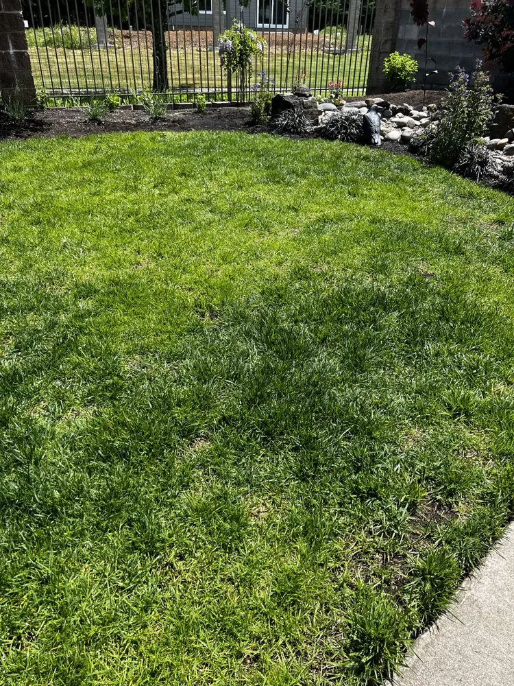 Reliable garden landscaping for beautiful yards in Eugene, OR by Graham Landscape and Design