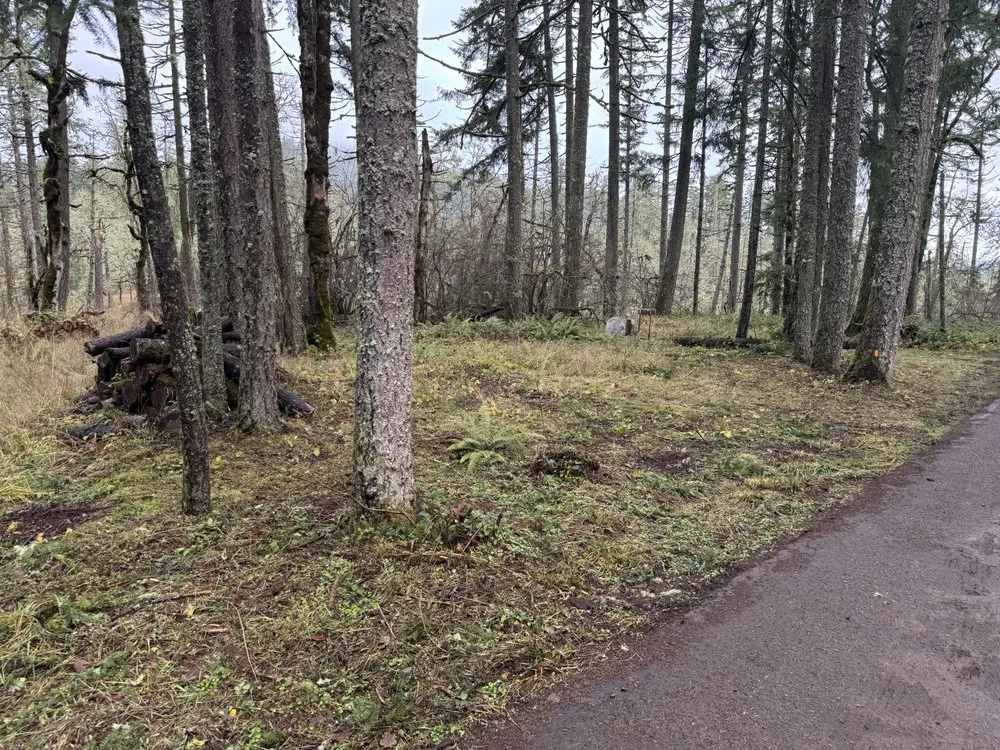 Affordable lawn care service for homes in Eugene, OR by Graham Landscape and Design