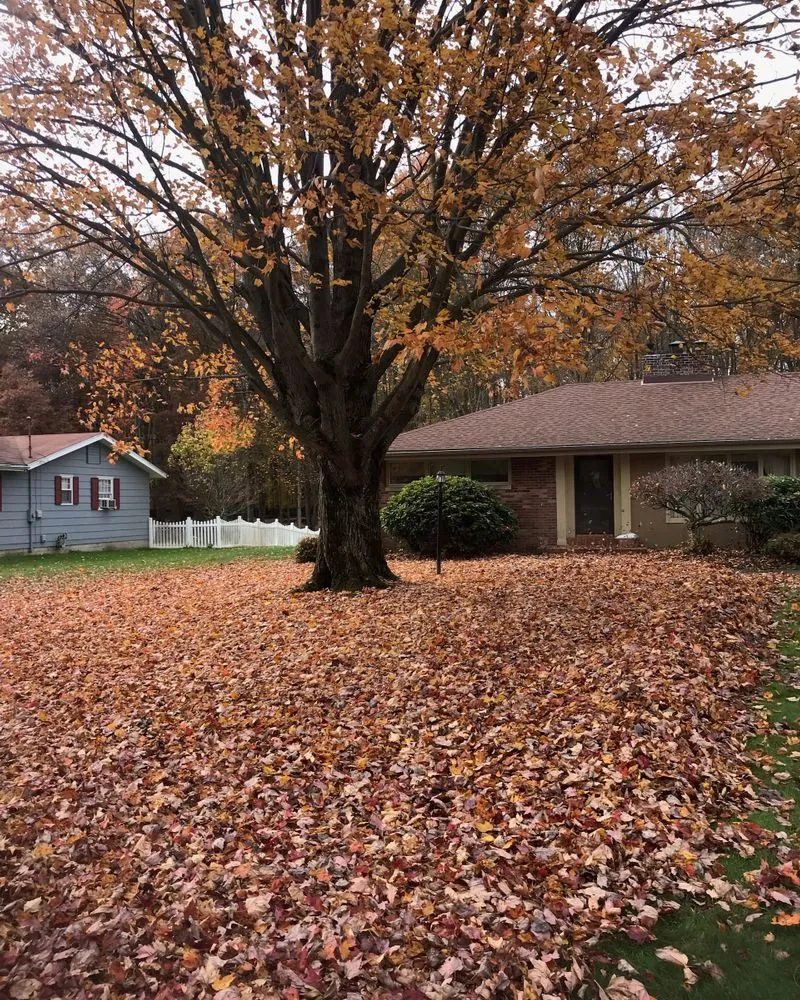 Trusted landscape design for residential properties in Youngstown, OH by Graham Lawn Care