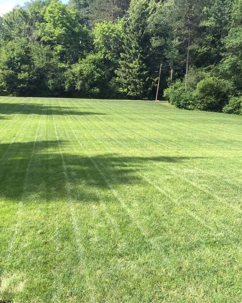 Trusted landscape design for homes across Youngstown, OH - Graham Lawn Care