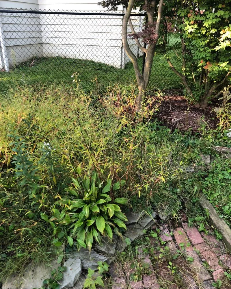 Expert yard cleanup service for outdoor upgrades across Youngstown, OH - Graham Lawn Care