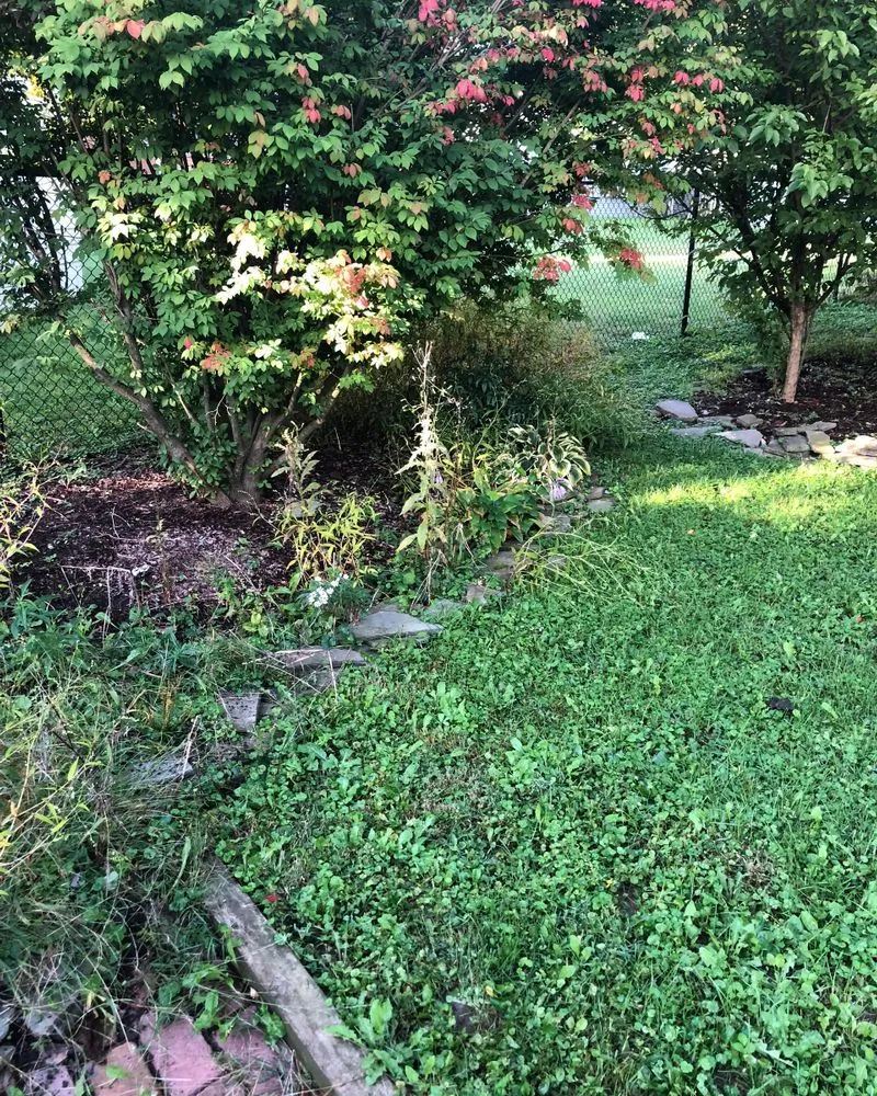 Affordable lawn mowing service near you across Youngstown, OH - Graham Lawn Care