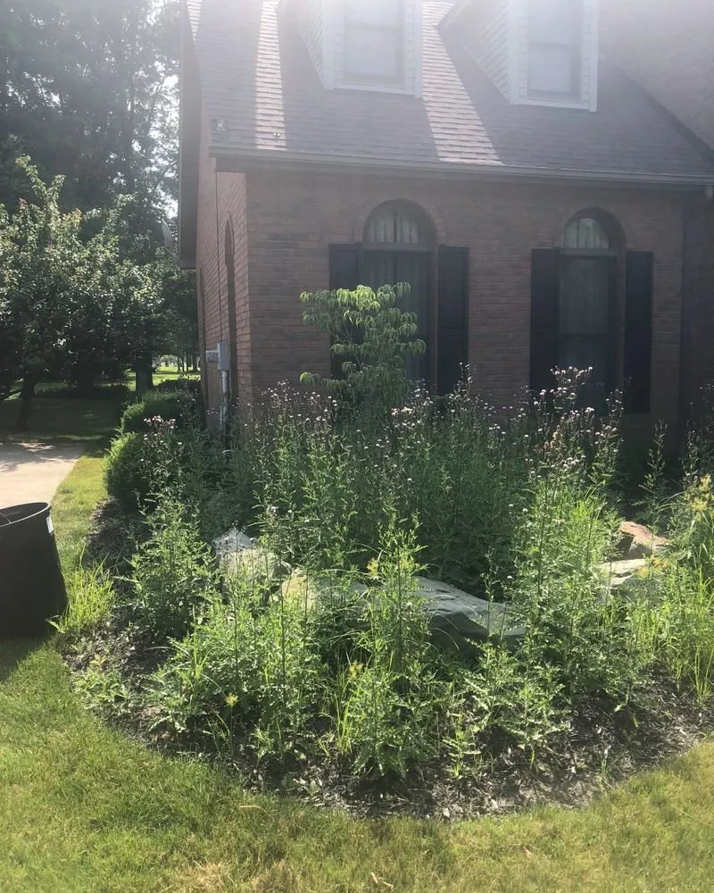 Professional landscape design in Youngstown, OH - Graham Lawn Care