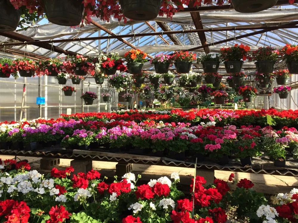 Reliable yard cleanup service experts serving Bradford, PA - Graham's Greenhouse & Landscaping