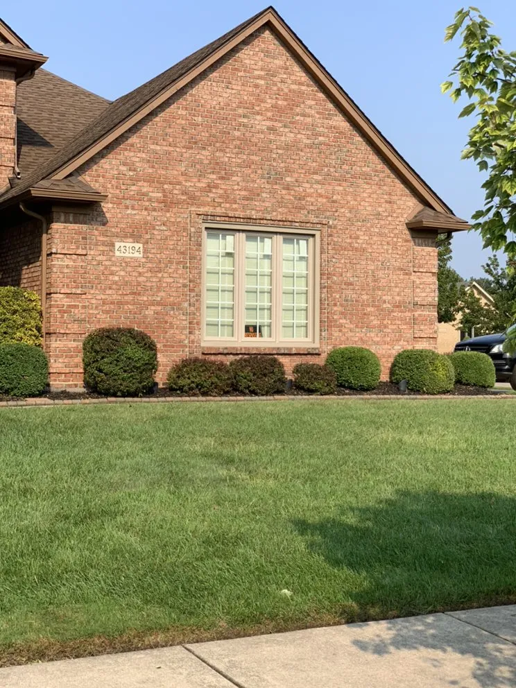 Expert yard cleanup service in Detroit, MI by Graham's Landscaping