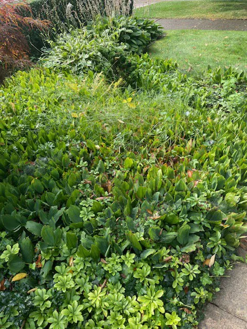 Top-rated landscape design in Detroit, MI - Graham's Landscaping