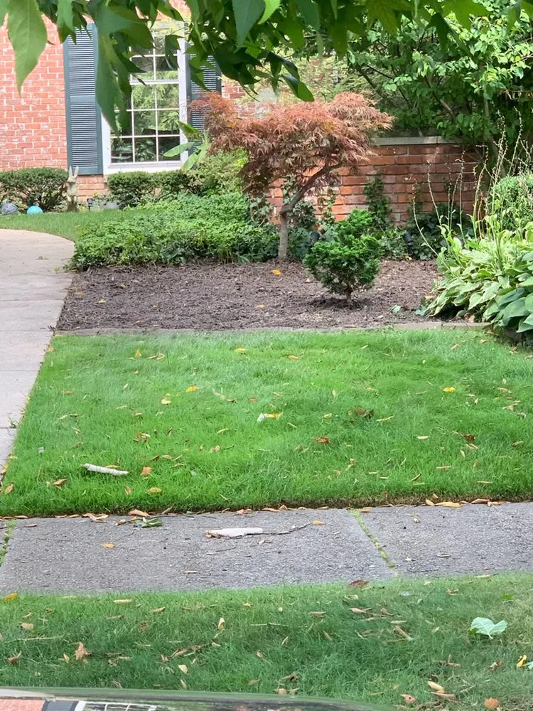 Affordable yard maintenance experts serving Detroit, MI - Graham's Landscaping
