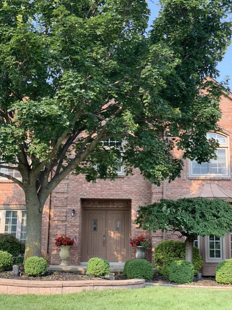 Top-rated landscaping services for year-round maintenance in Detroit, MI by Graham's Landscaping