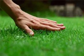 Local garden landscaping experts serving Jonesboro, AR - Grama Total Lawn Care Services
