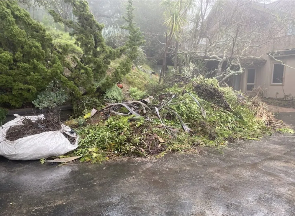 Trusted outdoor landscaping in San Rafael, CA by Gramajo Landscaping