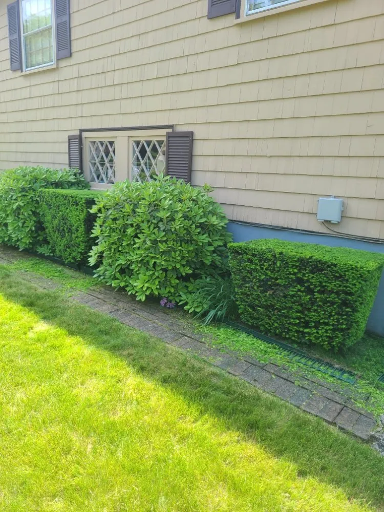 Expert residential landscaping in Waltham, MA - Gramajo Landscaping Service