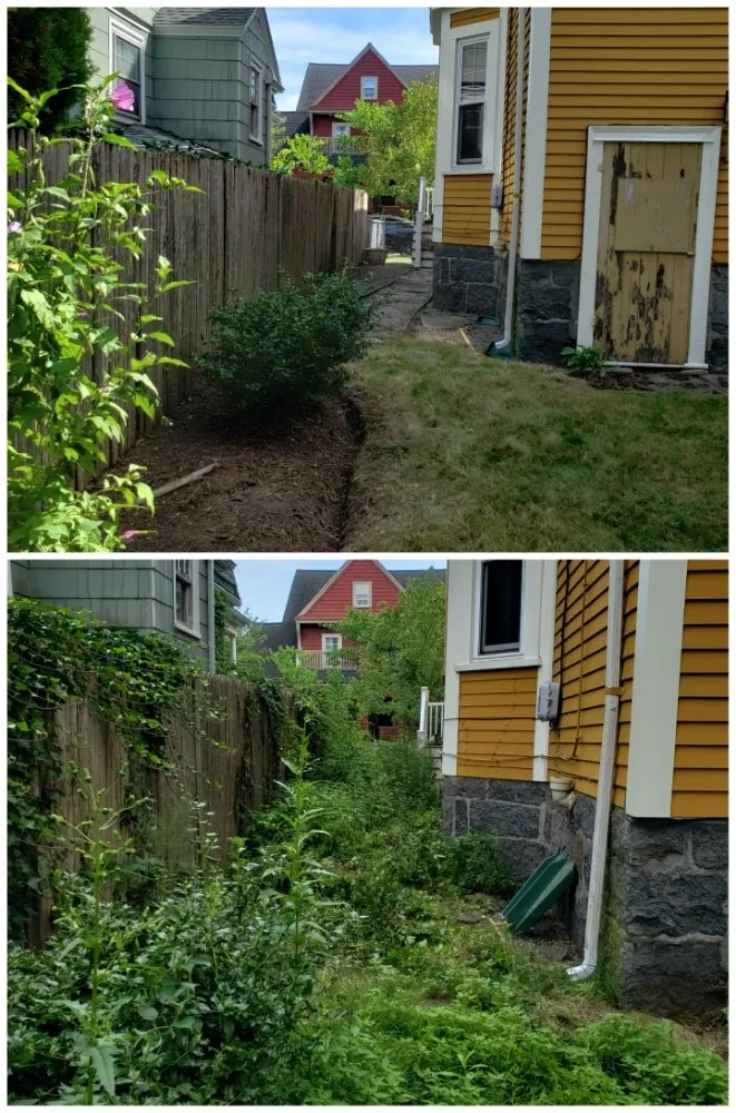 Affordable landscaping services with custom design in Waltham, MA by Gramajo Landscaping Service