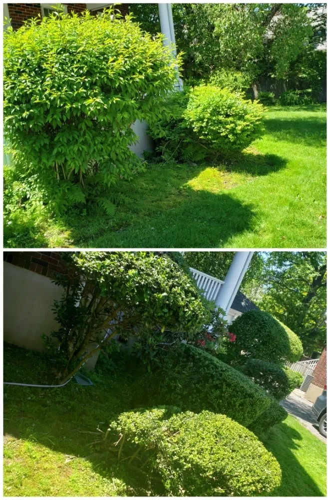 Expert lawn mowing service for homes in Waltham, MA by Gramajo Landscaping Service