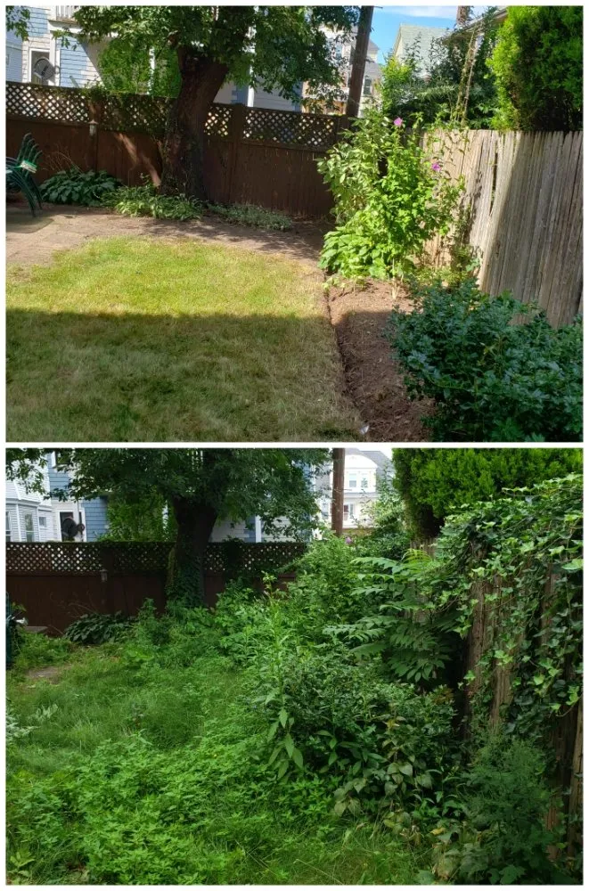 Reliable lawn care service experts serving Waltham, MA - Gramajo Landscaping Service