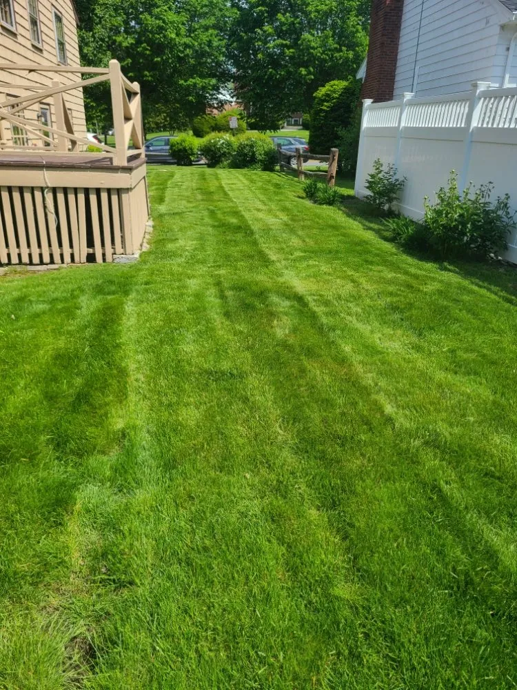Affordable yard maintenance for residential properties in Waltham, MA by Gramajo Landscaping Service