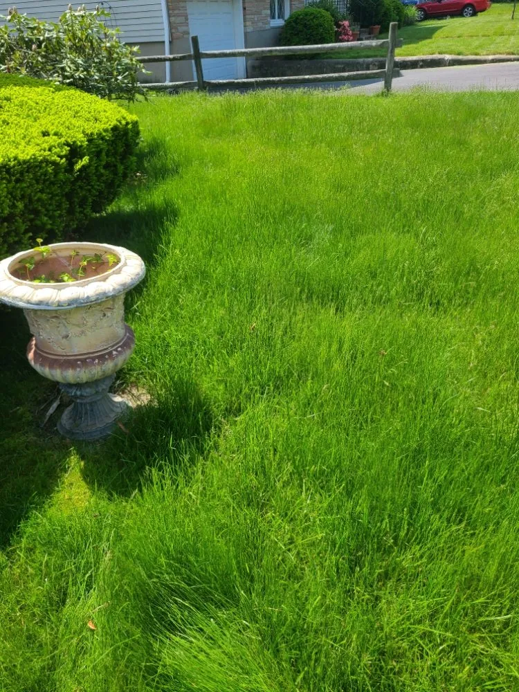 Professional garden landscaping near you across Waltham, MA - Gramajo Landscaping Service