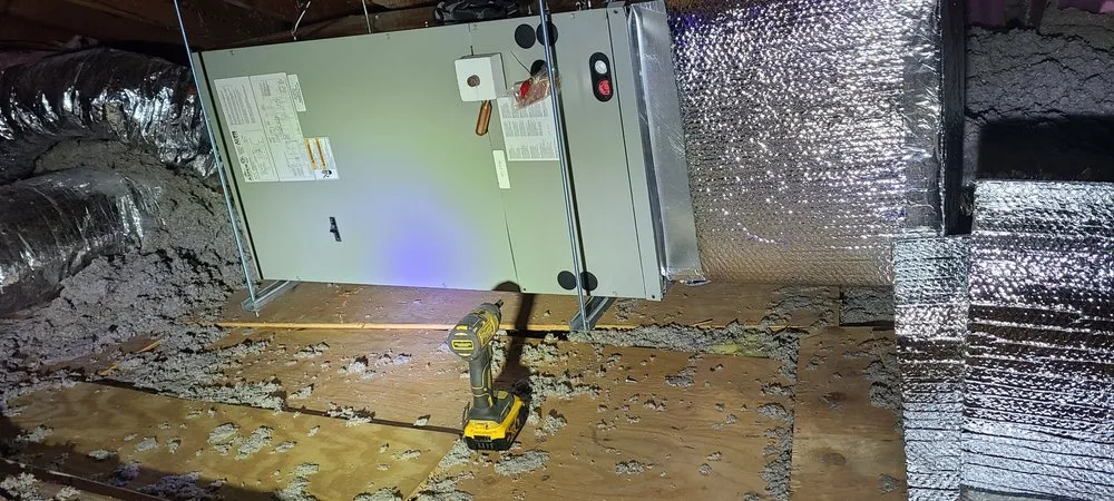 Expert yard cleanup service for outdoor upgrades in Waltham, MA by Gramajo Landscaping