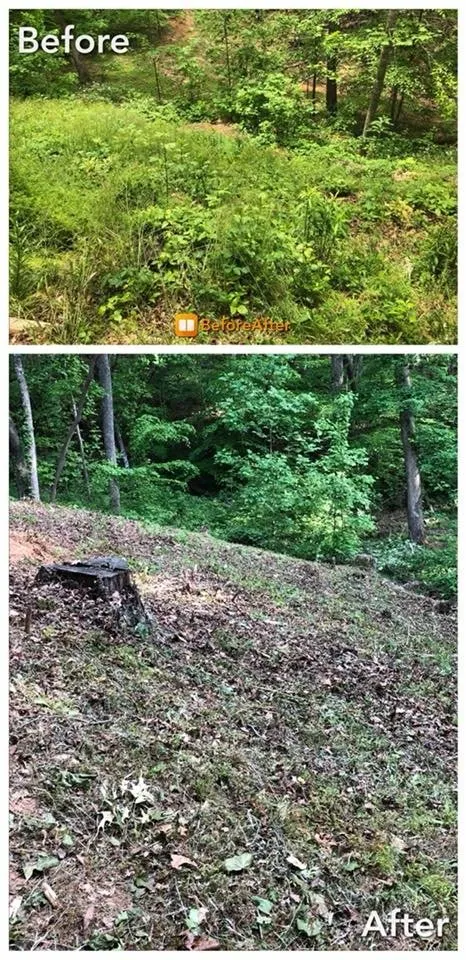 Trusted garden landscaping for year-round maintenance in Canton, GA by Gramling Landscapes