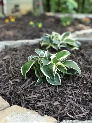 Gramling Landscapes Logo